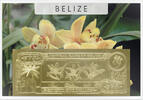 Belize 75 Dollars Cymbidium (gold) in plastic envelope with certificate -