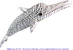 Venezuela Moneymal - Dolphin (large) -