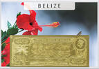 Belize 5 Dollars Hibiscus (gold) in plastic envelope with certificate -