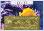Belize 2 Dollars Yellow Damselfish (gold) in plastic envelope with certificate -