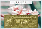 Belize 10 Dollars Frangipani (gold) in plastic envelope with certificate -