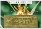 Belize 10 Dollars Galeandra Orchid (gold) in plastic envelope with certificate -
