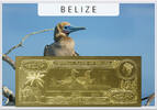 Belize 25 Dollars Red Footed Booby (gold) in plastic envelope with certificate -