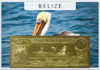 Belize 50 Dollars Brown Pelican (gold) in plastic envelope with certificate -