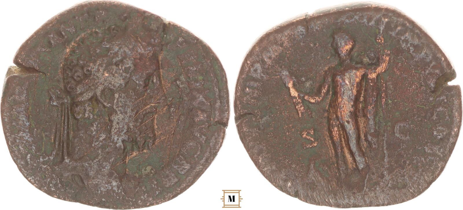 Auctus177