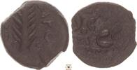 Judea prutah Porcius Festus, Jerusalem, under Nero, Palm branch -