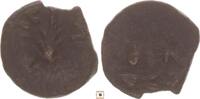 Judea prutah Porcius Festus, Jerusalem, under Nero, Palm branch -