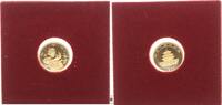 China 5 yuan Panda 1/20 Oz .999 Au -