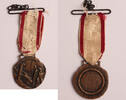Italy medal Italian 60th Sabratha Infantry division service medal -