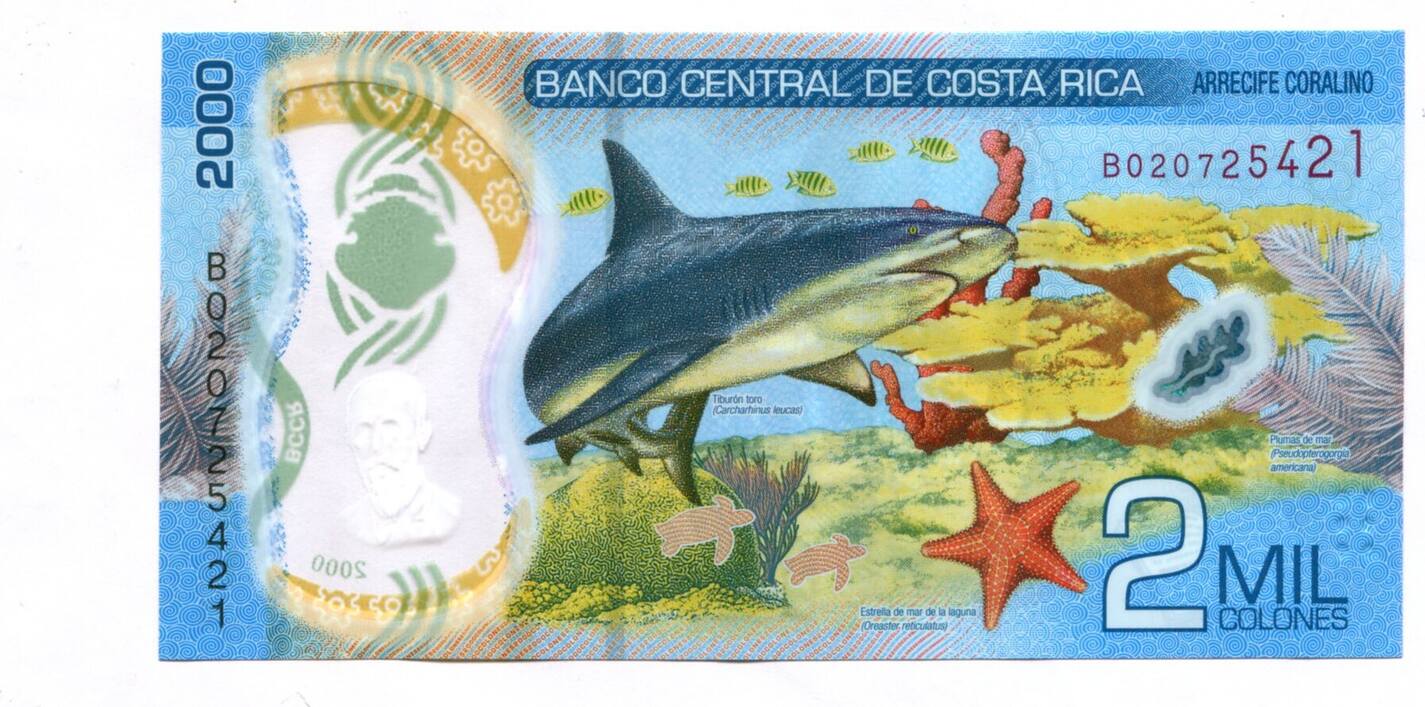 Costa rica записи. Банкнота Коста-Рика 2000 колон. Купюры Коста Рика, 2000. Банкнота Коста-Рика 5 колон 1989-1992. Купюры Коста Рики.