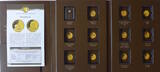 Südafrika Goldmünze 2017 50 Jahre Krügerrand - Springbock - 1/50 Oz Gold Proof, leicht angelaufen
