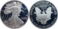 USA 1 Dollar Silver Eagle - 1 Oz Silber -