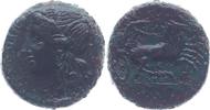  AE 22 288-279 v. Chr. SIZILIEN. Syrakus. Hiketas, -288-279 v.Chr. Rs. l... 125,00 EUR  +  10,00 EUR shipping