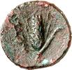 ITALIEN AE METAPONTION (Metaponto). dunkelbraune Patina ss / s 53.56 US$  +  11.64 US$ shipping