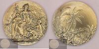 France / French Colonies / Algeria Historical Medal Gallia Tutrix after Lucien Coudray -
