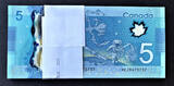 2013 Canada Polymer $5 PACK 100 Pieces Pick-106b 