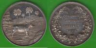 Ceylon Silbermedaille Agri-Horticultural Society, Colombo, sehr selten -