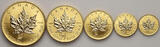 Canada Set 5 - 50 Dollars 2001 Elizabeth II, Maple Leaf, Viking Privy Mark, 1/20 - 1 oz BU
