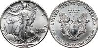 USA 1 Dollar American Silver Eagle, 1 Oz Ag999 -