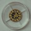 Medal - 10 years of the euro - Gold -