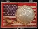 Once d argent 2007 Etats-Unis VEREINIGTE STAATEN - 1 UNZE SILBER 0,9999 - 1 DOLLAR 2007 VZ/VZ-ST