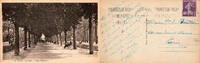 France  COUNTY 03200 - VICHY - THE PARK - THE MAIN AVENUE  2.31 US$  +  18.00 US$ shipping