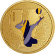 French Mint 2023 Medallion Y - Alphabet Sports - Paris 2024 UNC