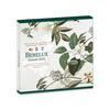 BU Euro box set - The gardens of the BENELUX - 2022 -