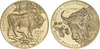 Slovakia 5 euros 5 Euros 2024 - European Bison -