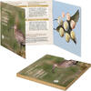 Ireland BU Euro 2024 box set - The Curlew -