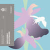 San Marino BU Euro 2024 box set with €5 Silver Butterfly -
