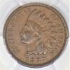 USA Indian Cent -