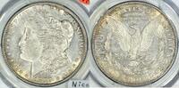 USA Reverse of 1878 Morgan Dollar -