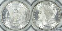 USA Morgan Dollar -