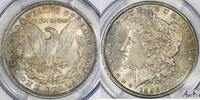 USA Morgan Dollar -