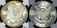 USA Morgan Dollar -