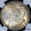 USA Morgan Dollar -
