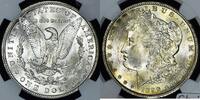 USA Morgan Dollar -