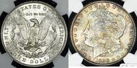 USA Morgan Dollar -