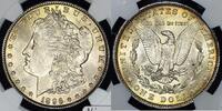 USA Morgan Dollar -