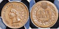 USA Indian Head Cent -