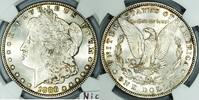 USA Morgan Dollar -