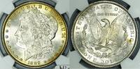 USA Morgan Dollar -