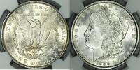 USA Top-100 Morgan Dollar -