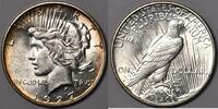 Dollars, Dollars Peace Dollar ; Choice -Unc.; Better Date! vz+ 1,874.17 元  ＋  401.56 元 运费