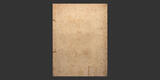 ANTIQUIORES PONTIFICUM ROMANORUM DENARII • Joanne Vignolio 1734