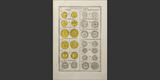 MONNOIES DES COMTES DE PROVENCE (1801) Fauris de Saint-Vincens