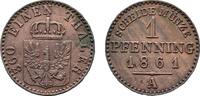 Brandenburg-Preußen Cu Pfennig 1861 A Wilhelm I. 1861-1888 VF