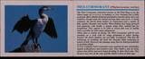NEW ZEALAND , KM# 125a , Silver, 5 Dollars, 2000, Proof, Pied Cormorant. Scarce silver proof coin! Coin housed in Original Mint