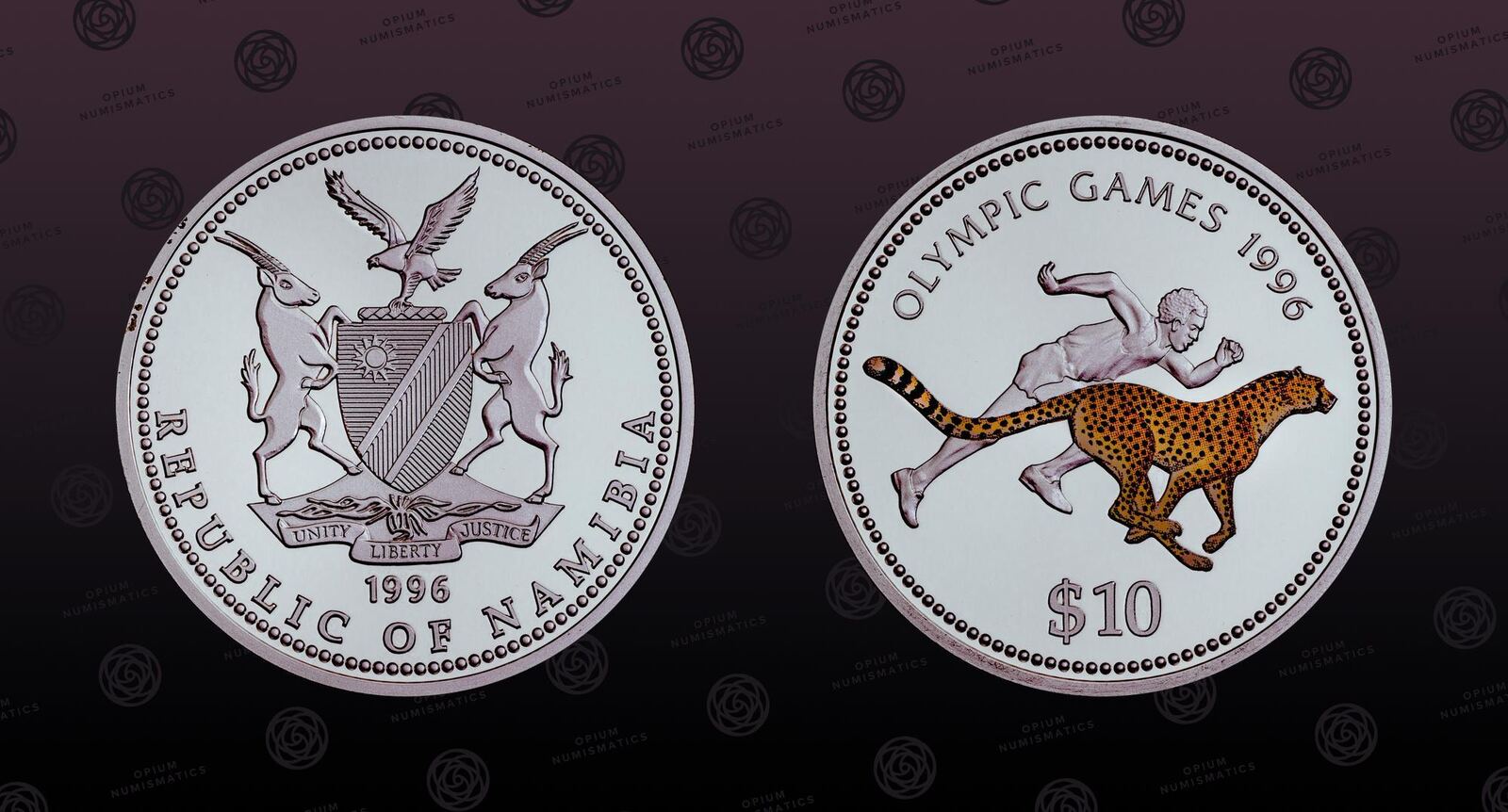 10 dollar silver casino token